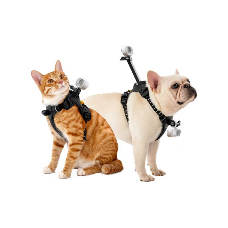 Insta360 Pet Harness Mount — Ham pentru Animale — Cat and dog wearing harness sizes