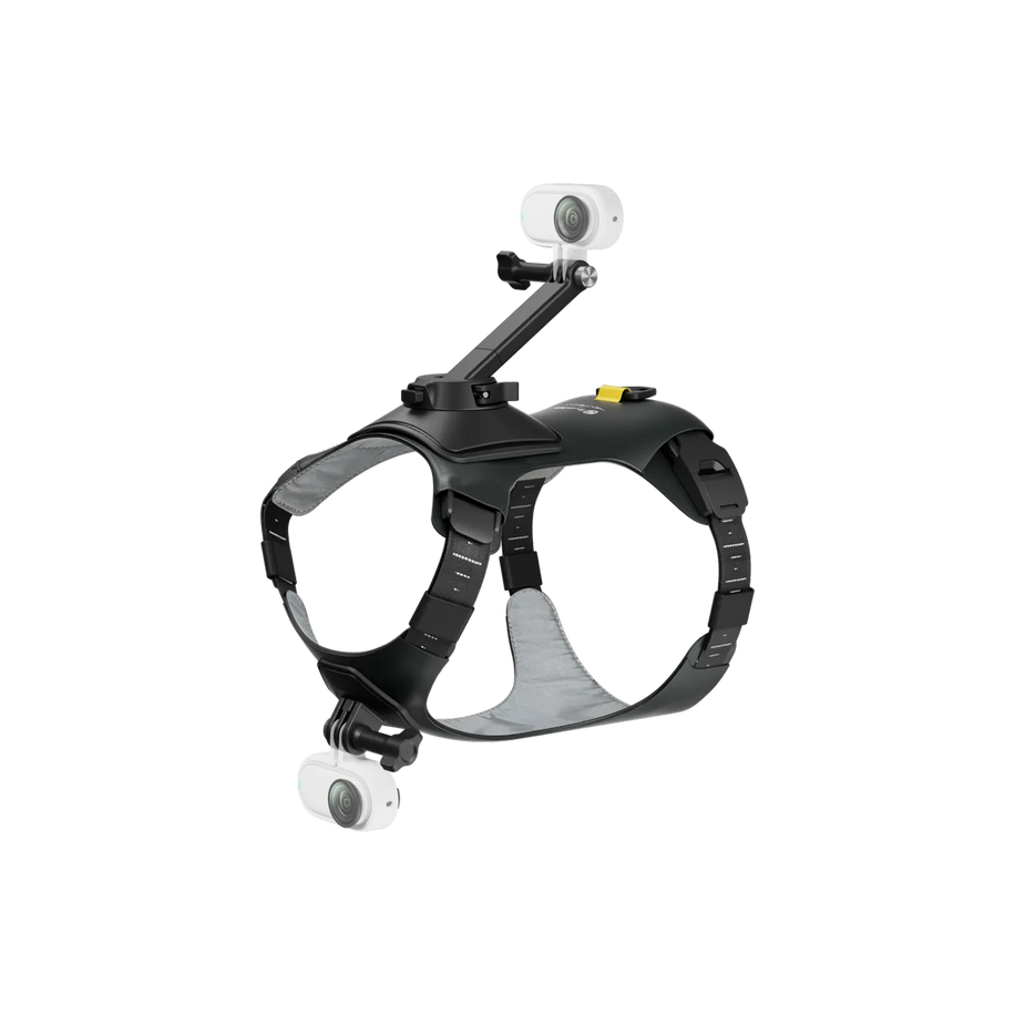 Ham animale M Insta360 — vedere principală