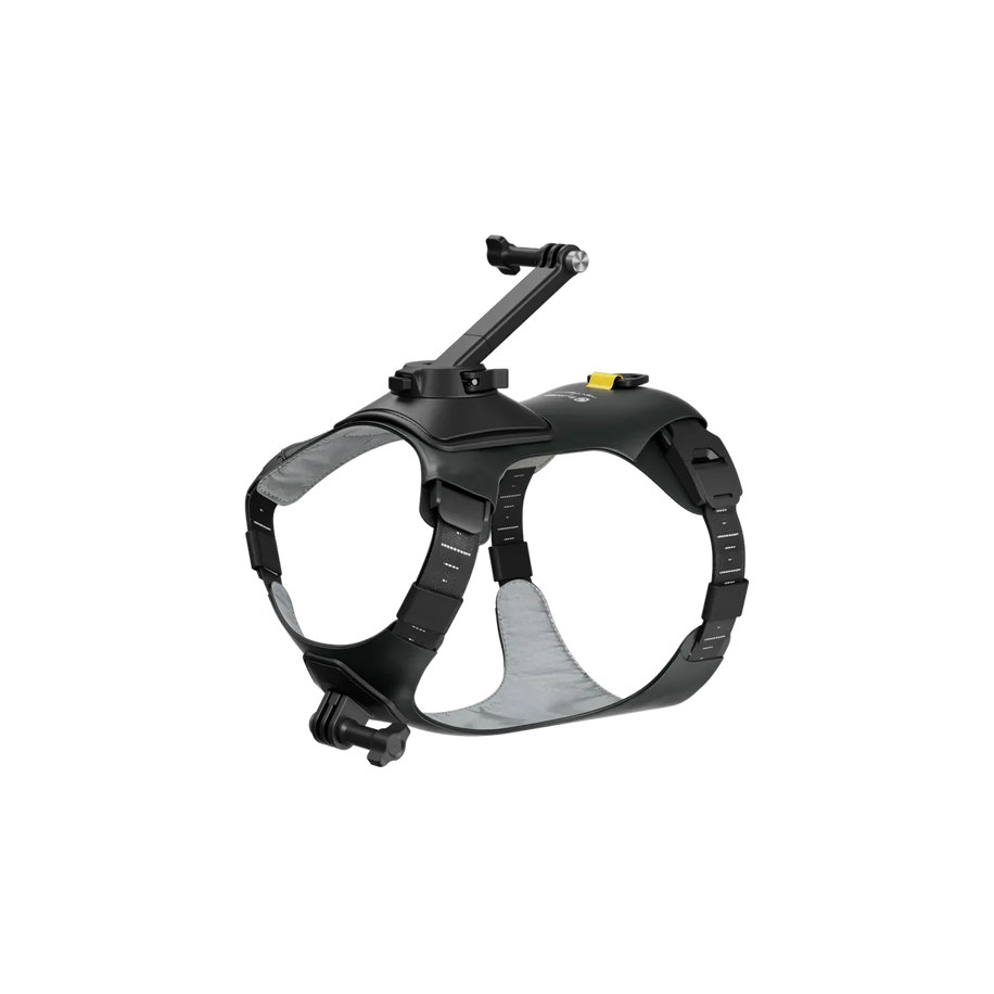 Ham animale M Insta360 — imagine 4