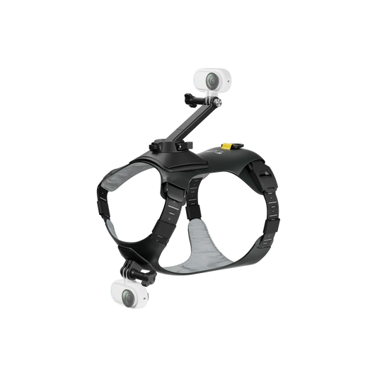 Ham animale S Insta360 — vedere principală